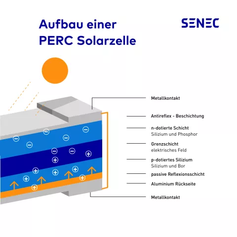 Die Grafik zeigt den Aufbau einer PERC-Zelle.